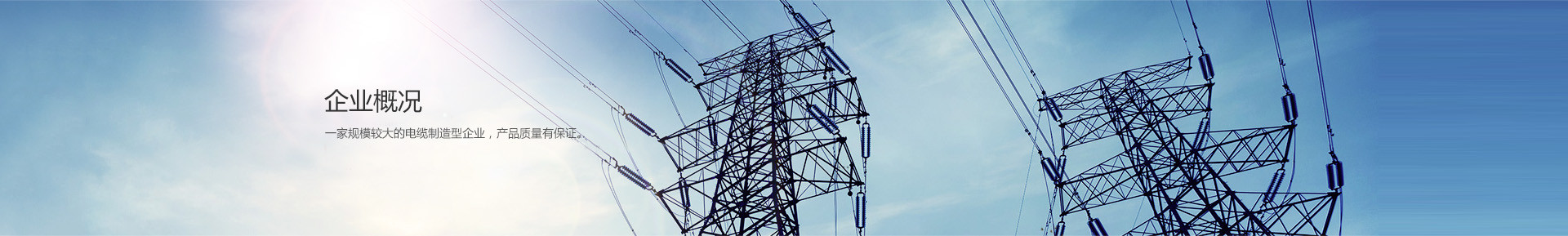 強(qiáng)菱品牌