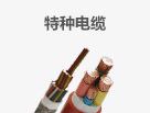 特種電纜